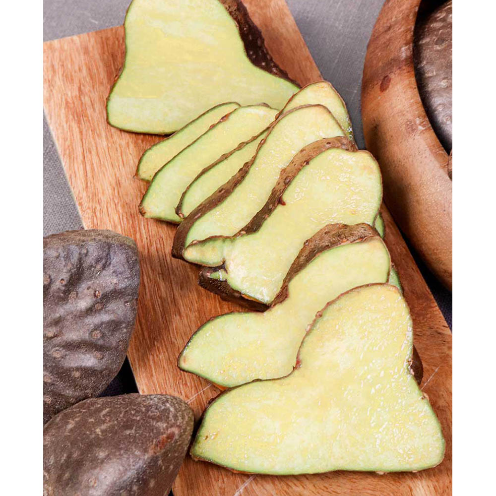 1698891729 thumbnail