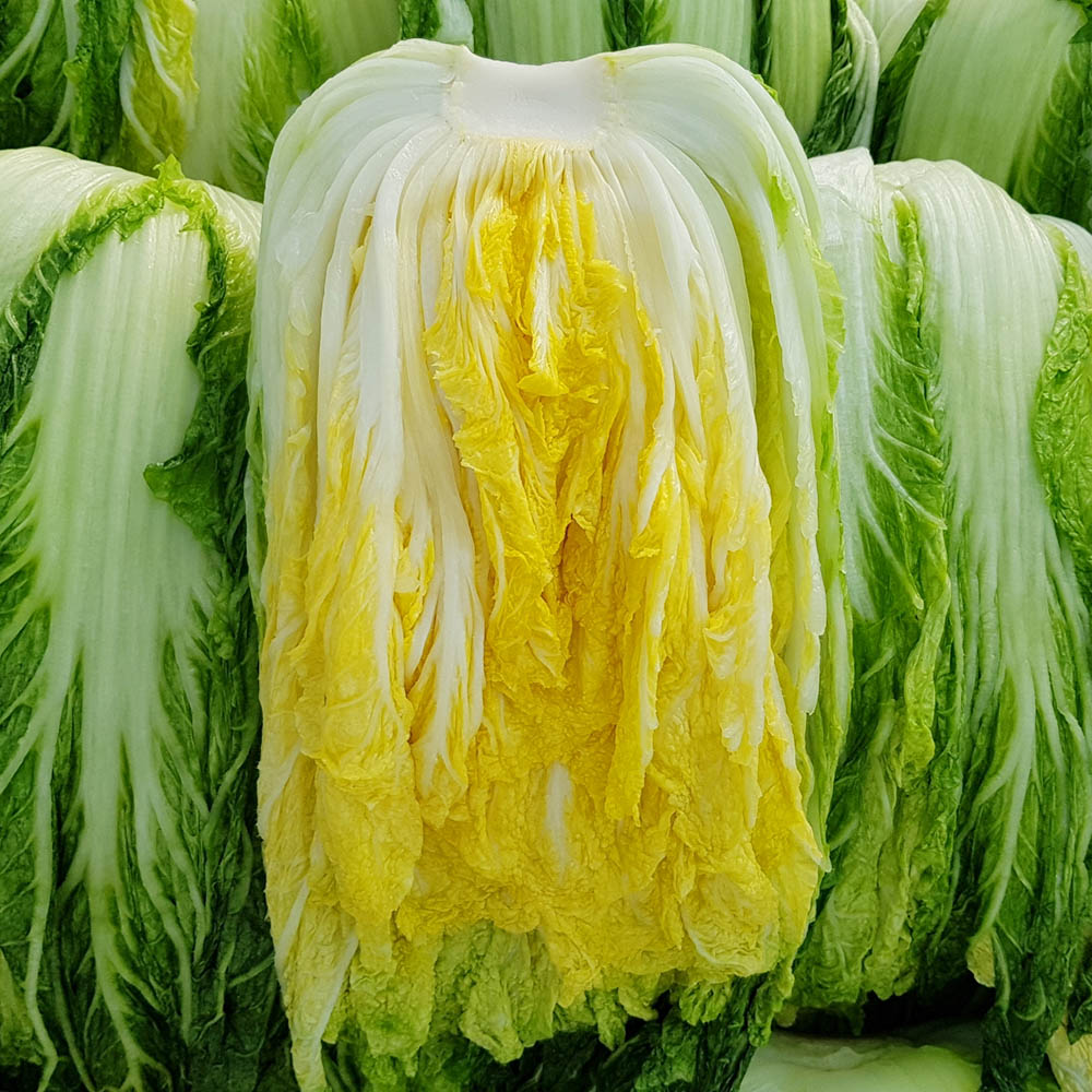 1698914742 thumbnail