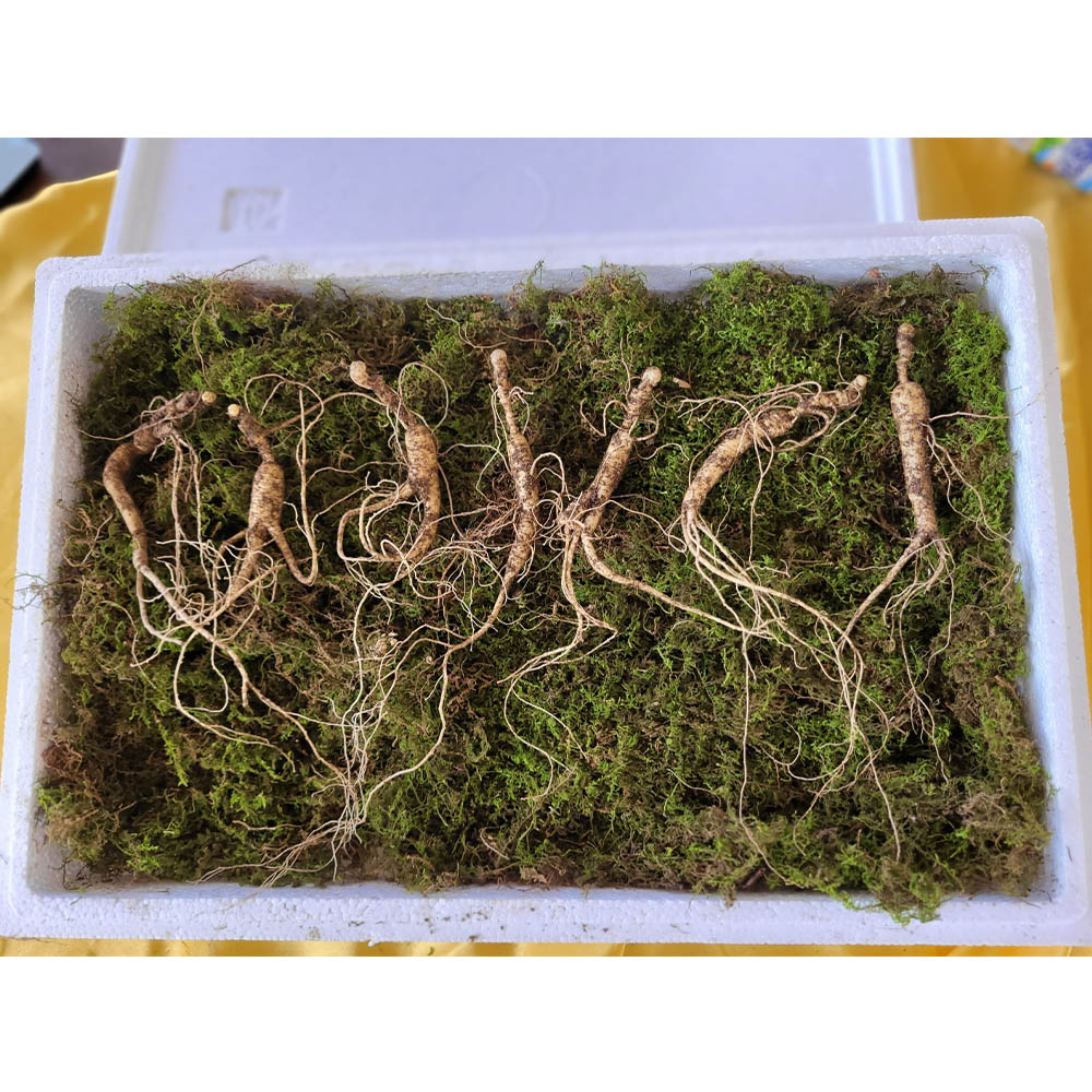 1698971438 thumbnail