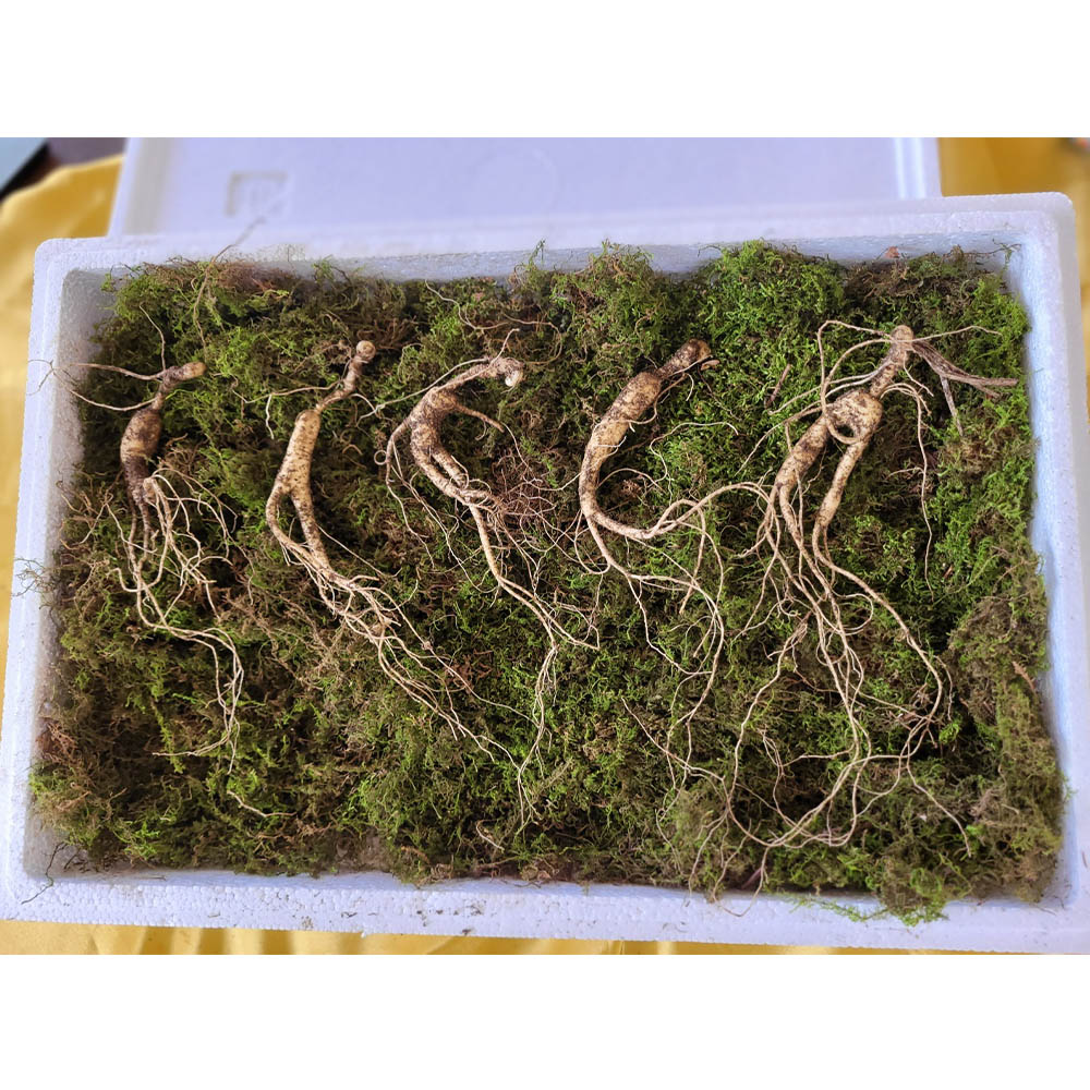 1698971439 thumbnail