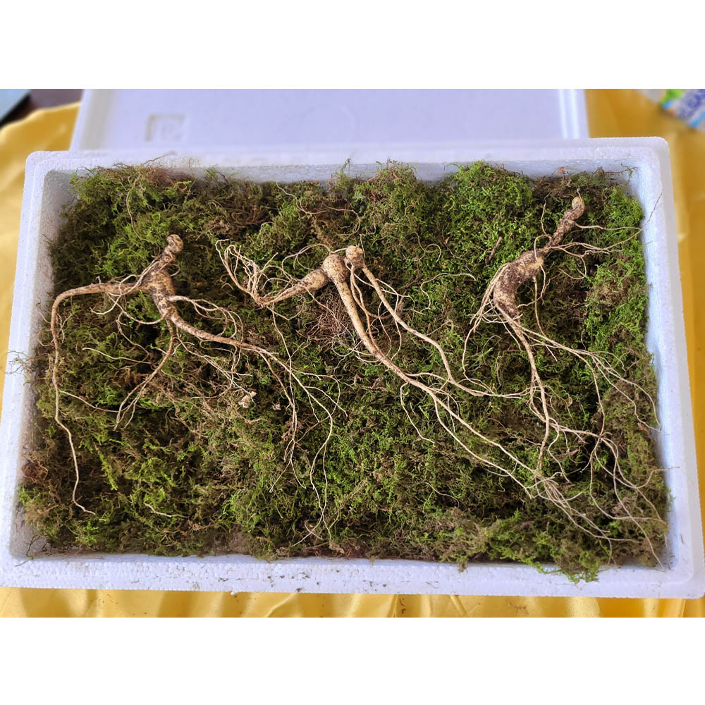 1698971440 thumbnail