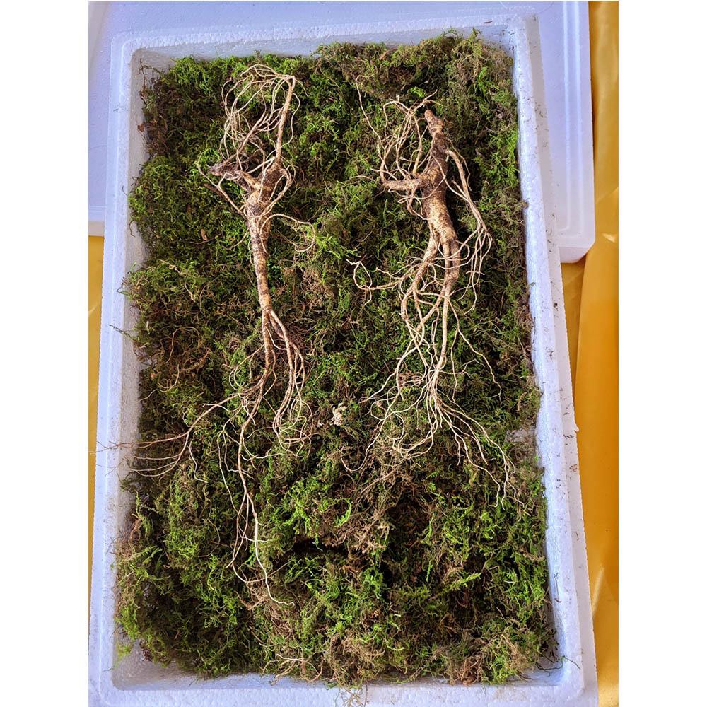 1698971441 thumbnail