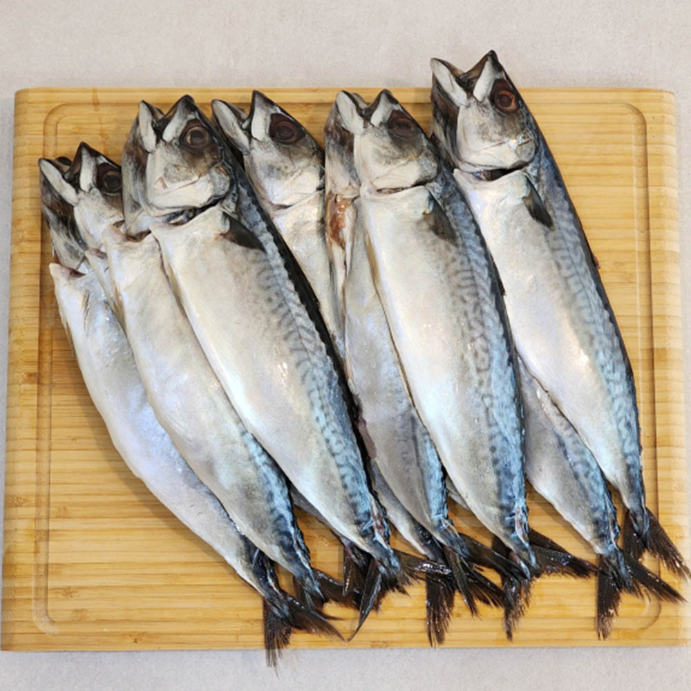 1698996113 thumbnail