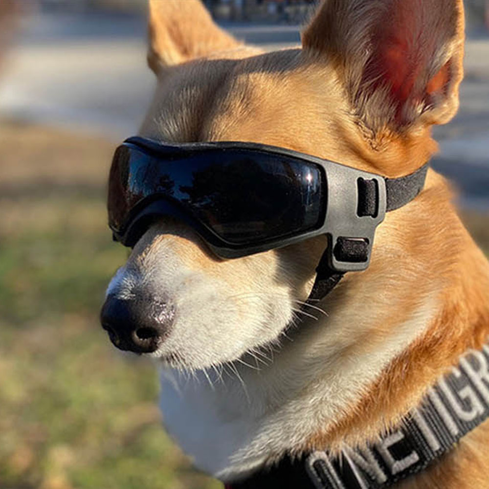 1699336697 thumbnail