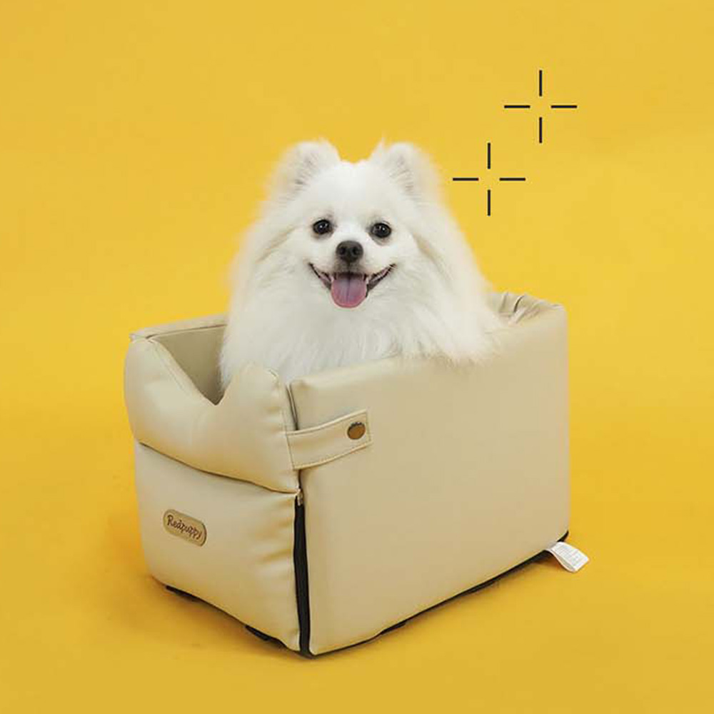 1699336698 thumbnail