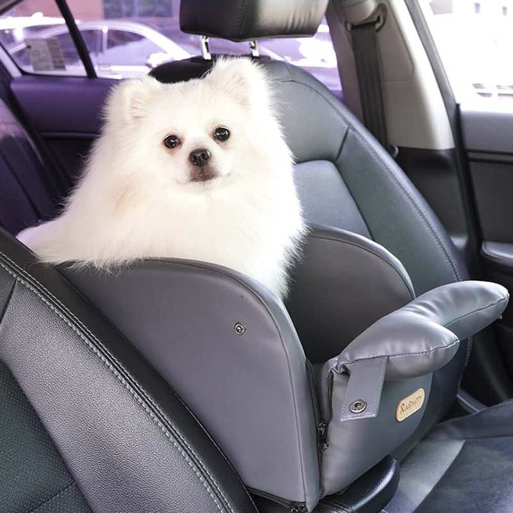 1699336699 thumbnail