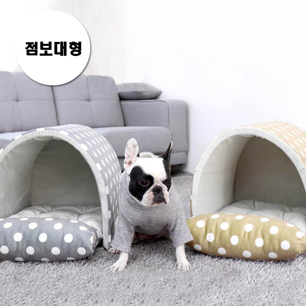 1699336701 thumbnail