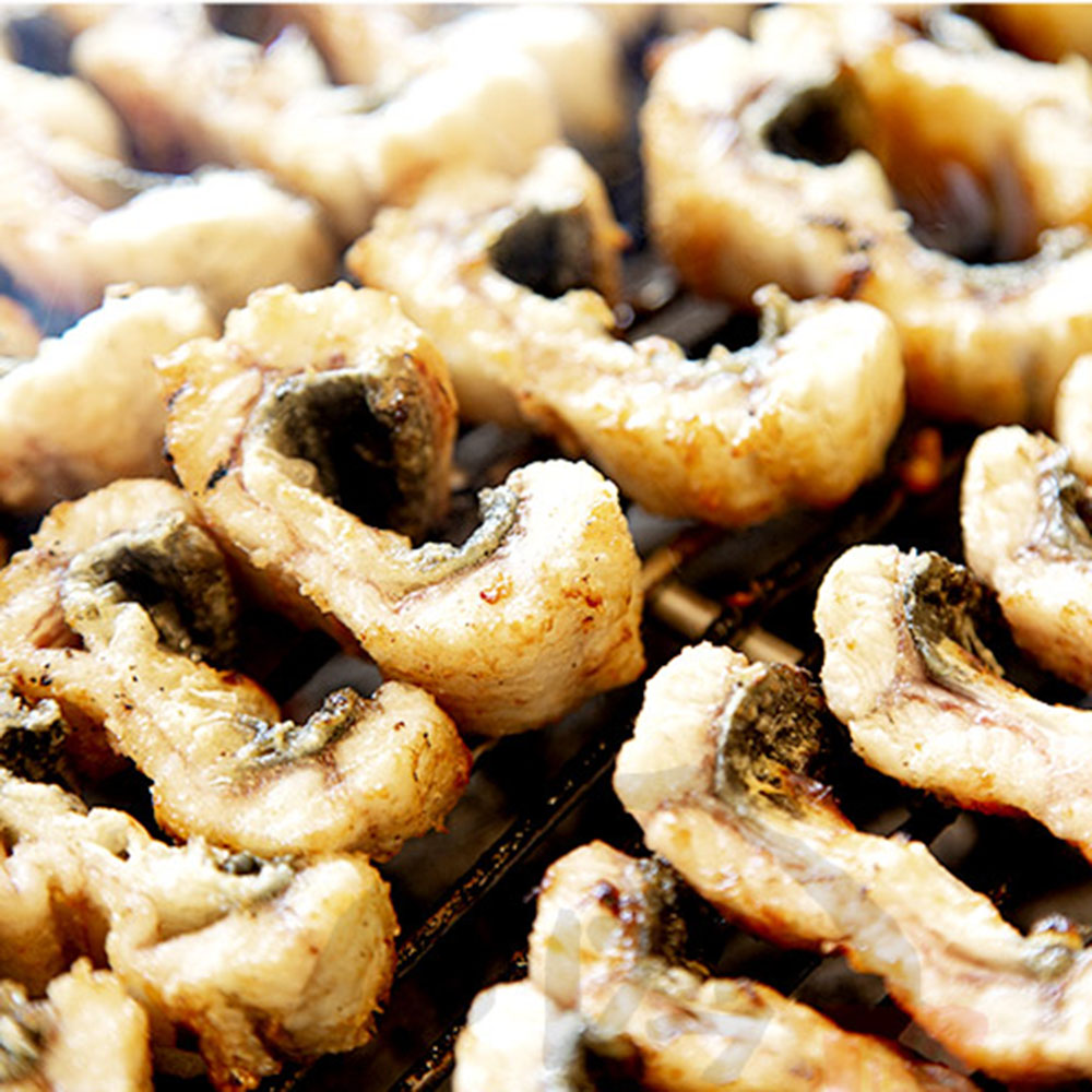 1699337155 thumbnail