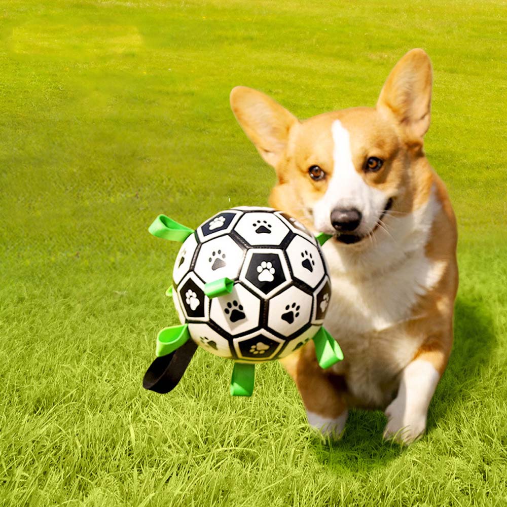 1699410921 thumbnail