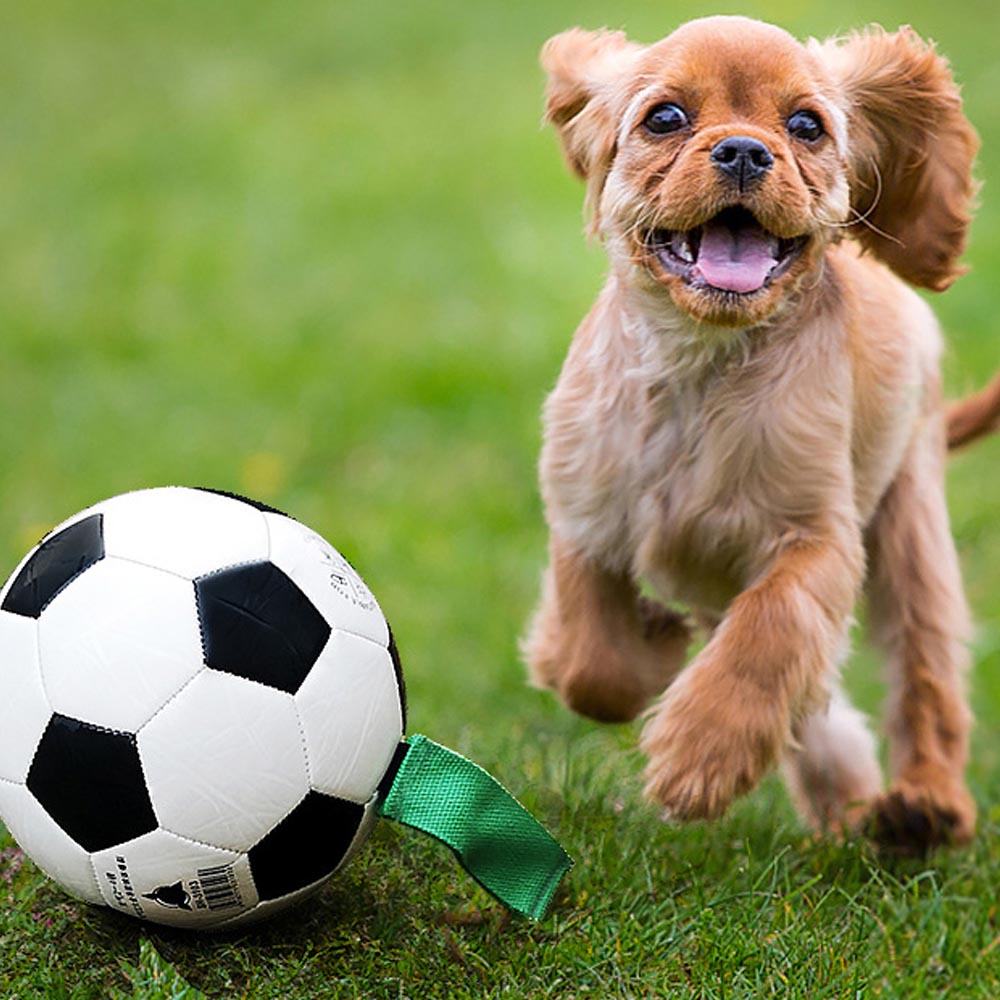 1699410923 thumbnail