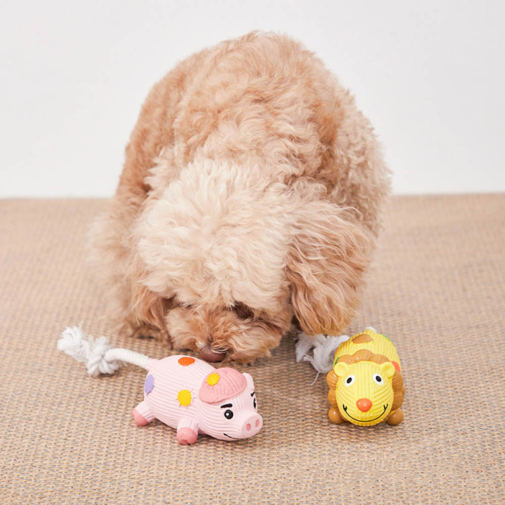 1699410925 thumbnail