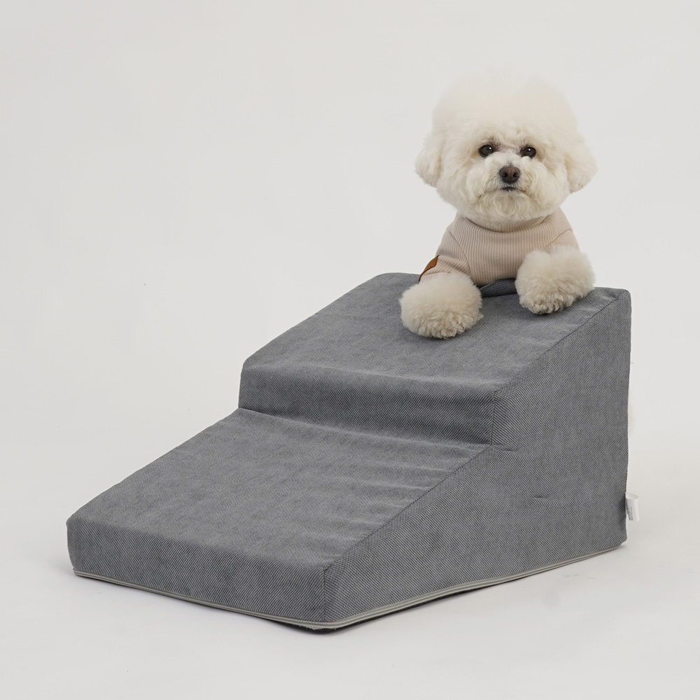 1699410929 thumbnail