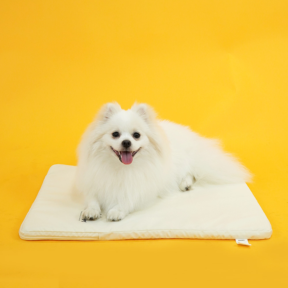 1699410933 thumbnail