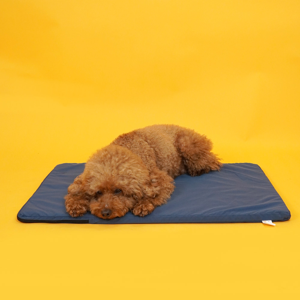 1699410934 thumbnail