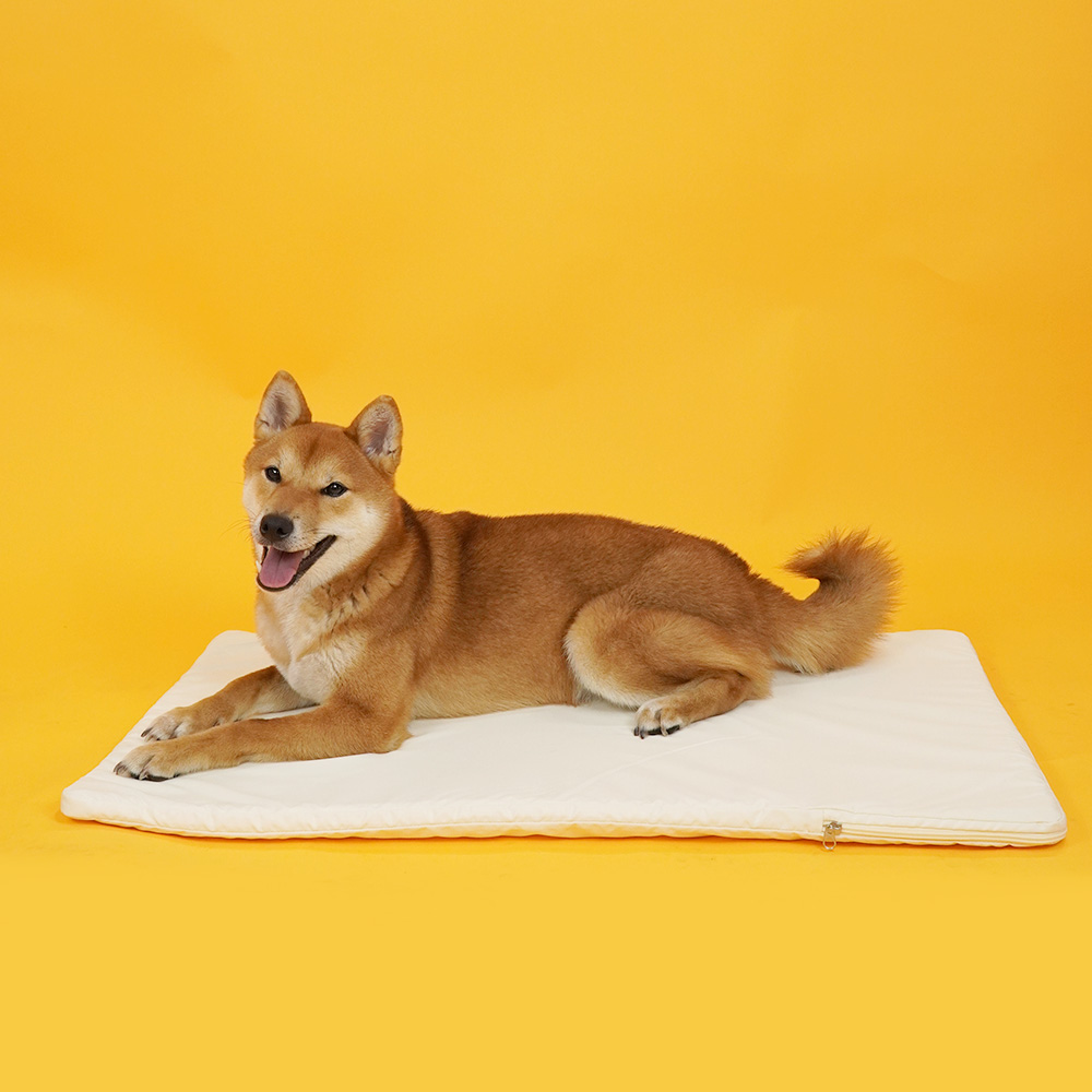 1699410935 thumbnail