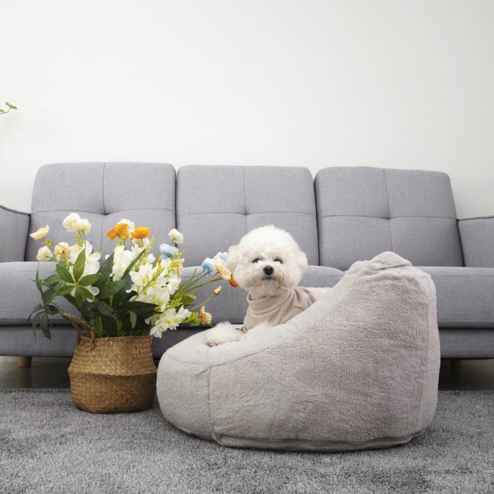 1699411573 thumbnail