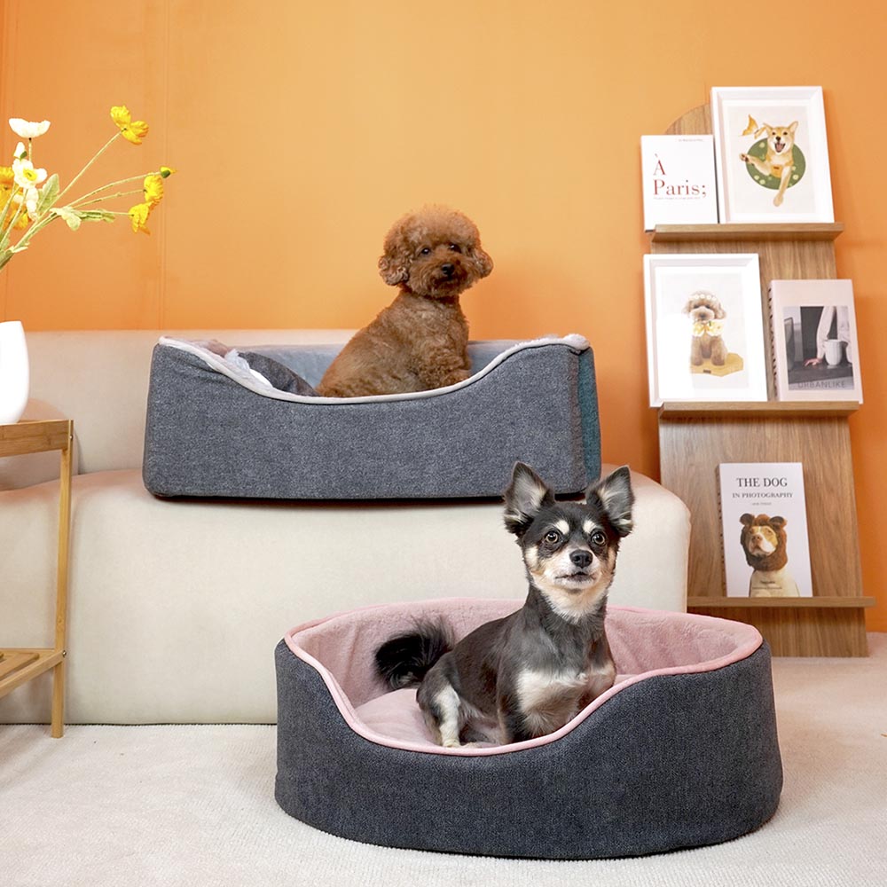 1699411574 thumbnail