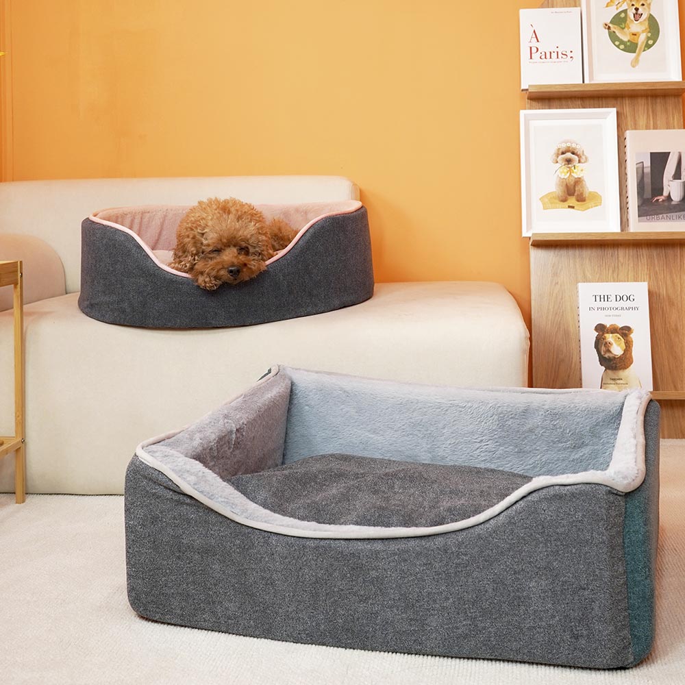 1699411575 thumbnail