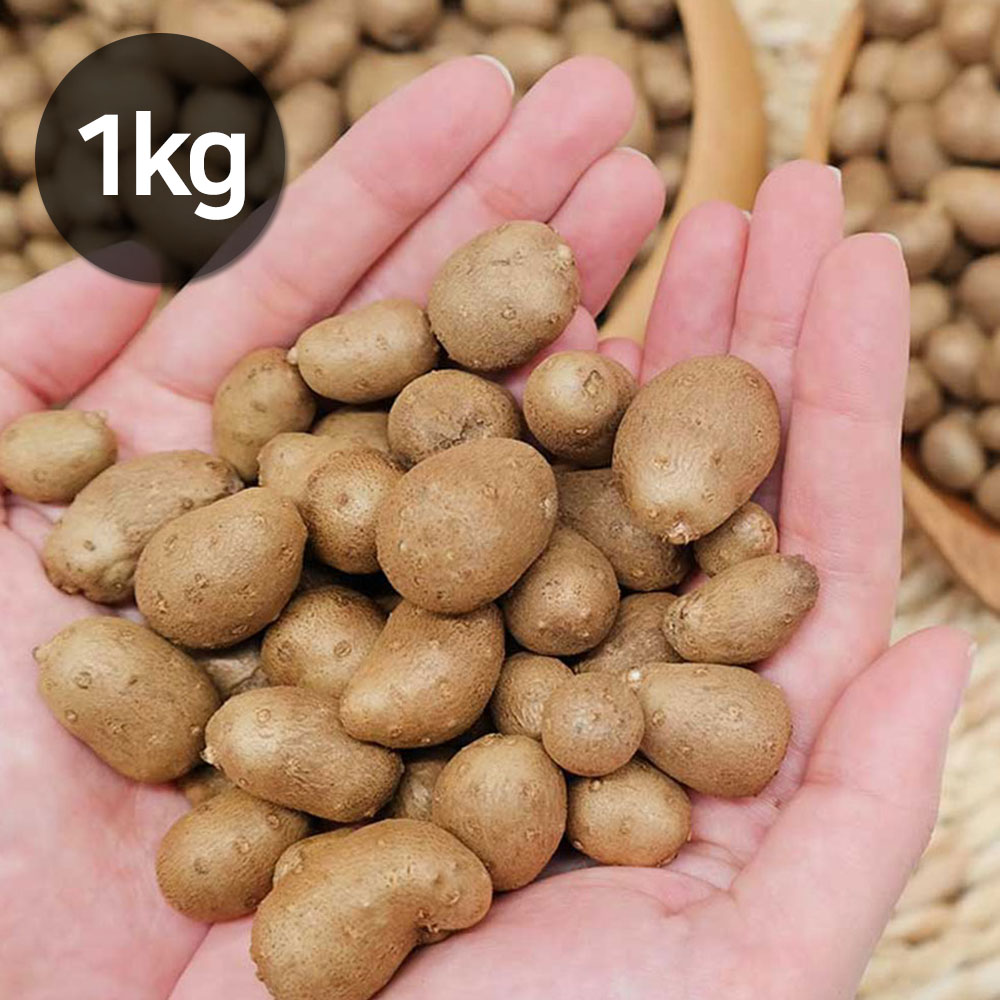 1699497611 thumbnail