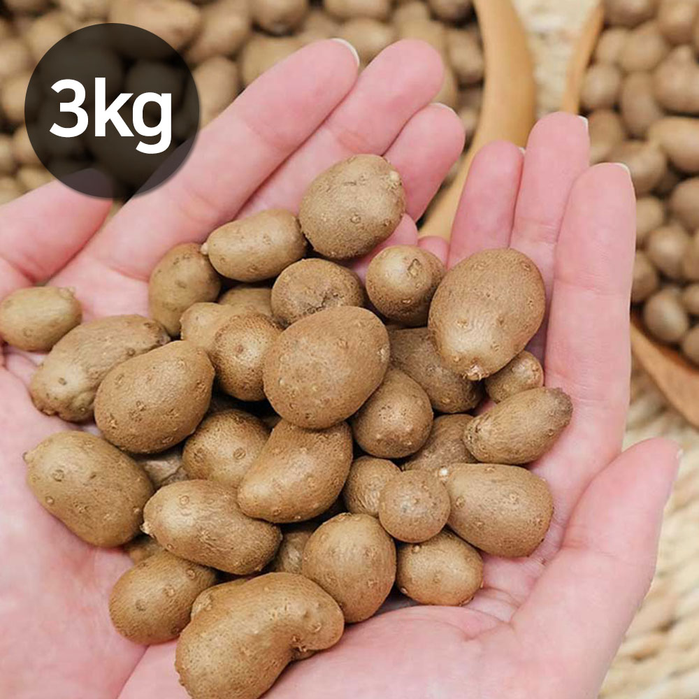 1699497612 thumbnail