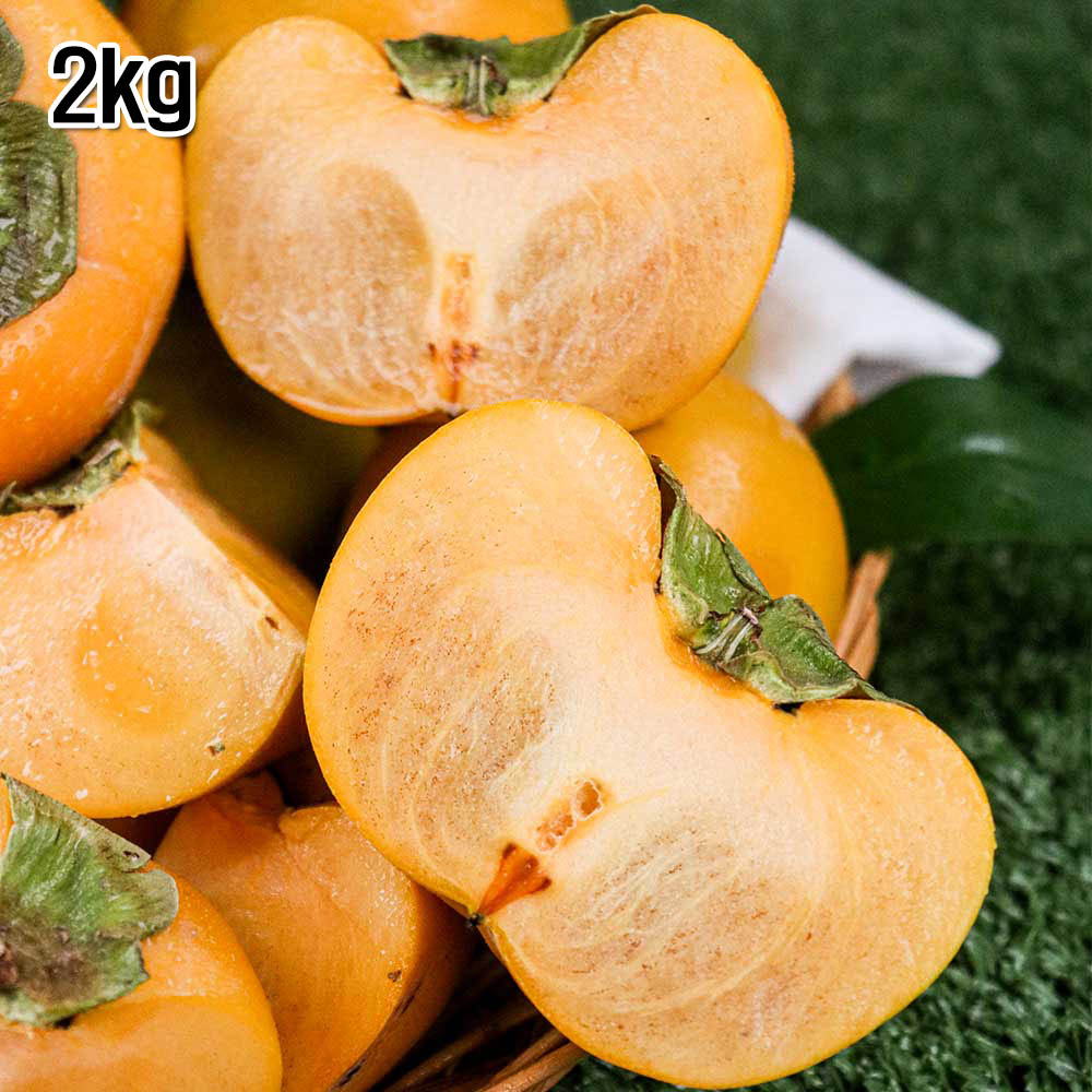 1699497623 thumbnail