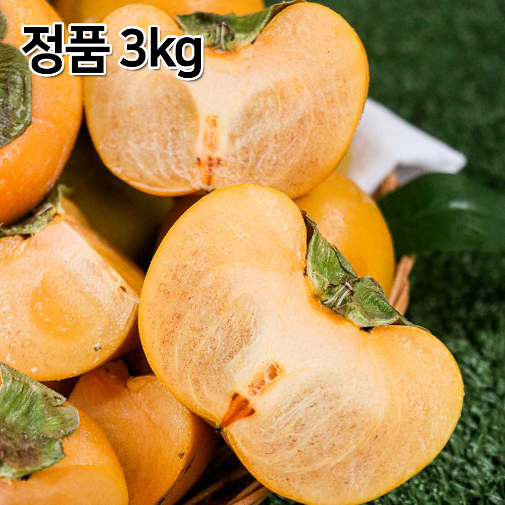 1699497624 thumbnail