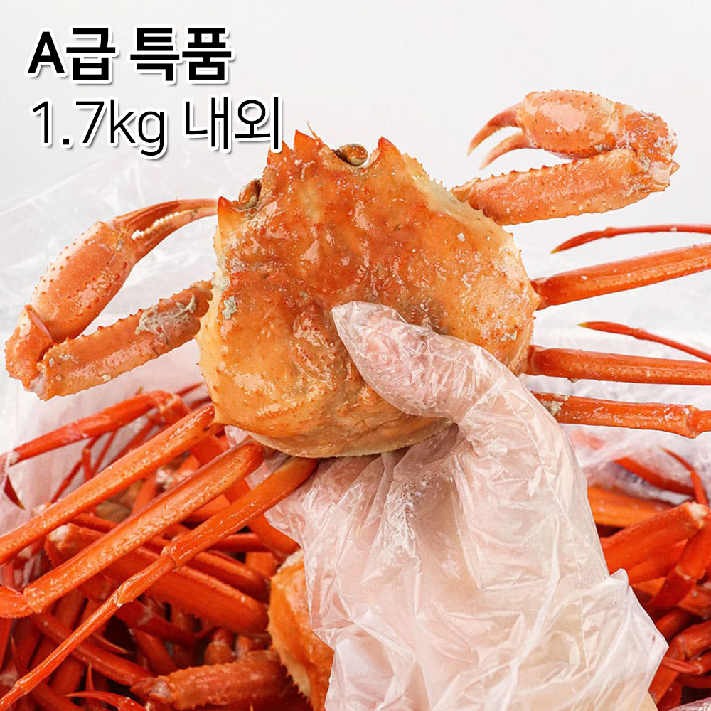 1699497627 thumbnail