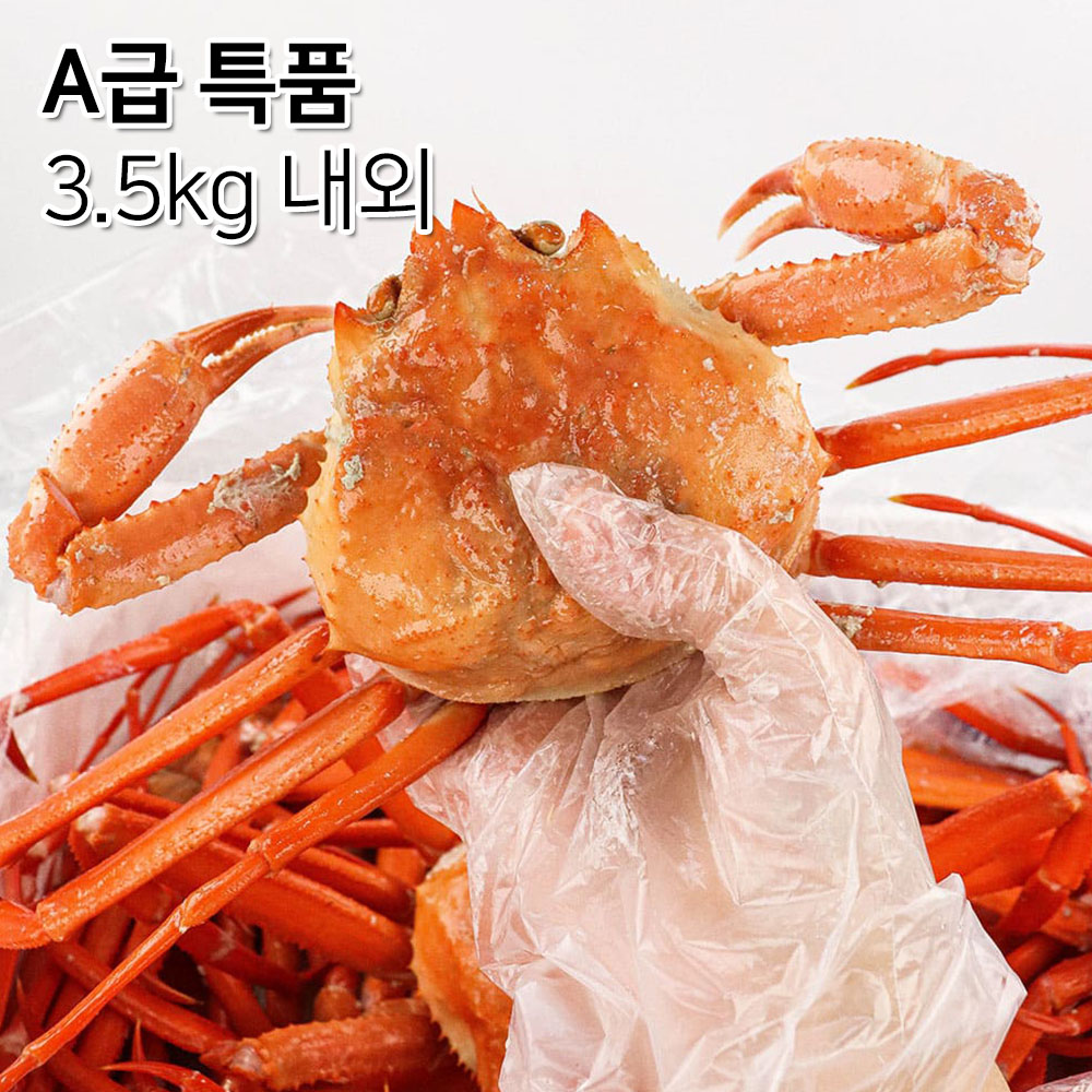 1699497628 thumbnail