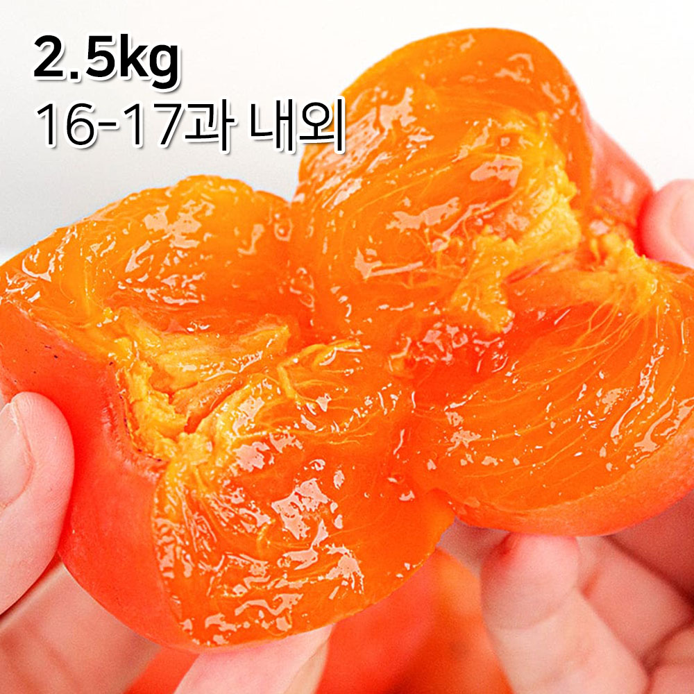 1699497632 thumbnail