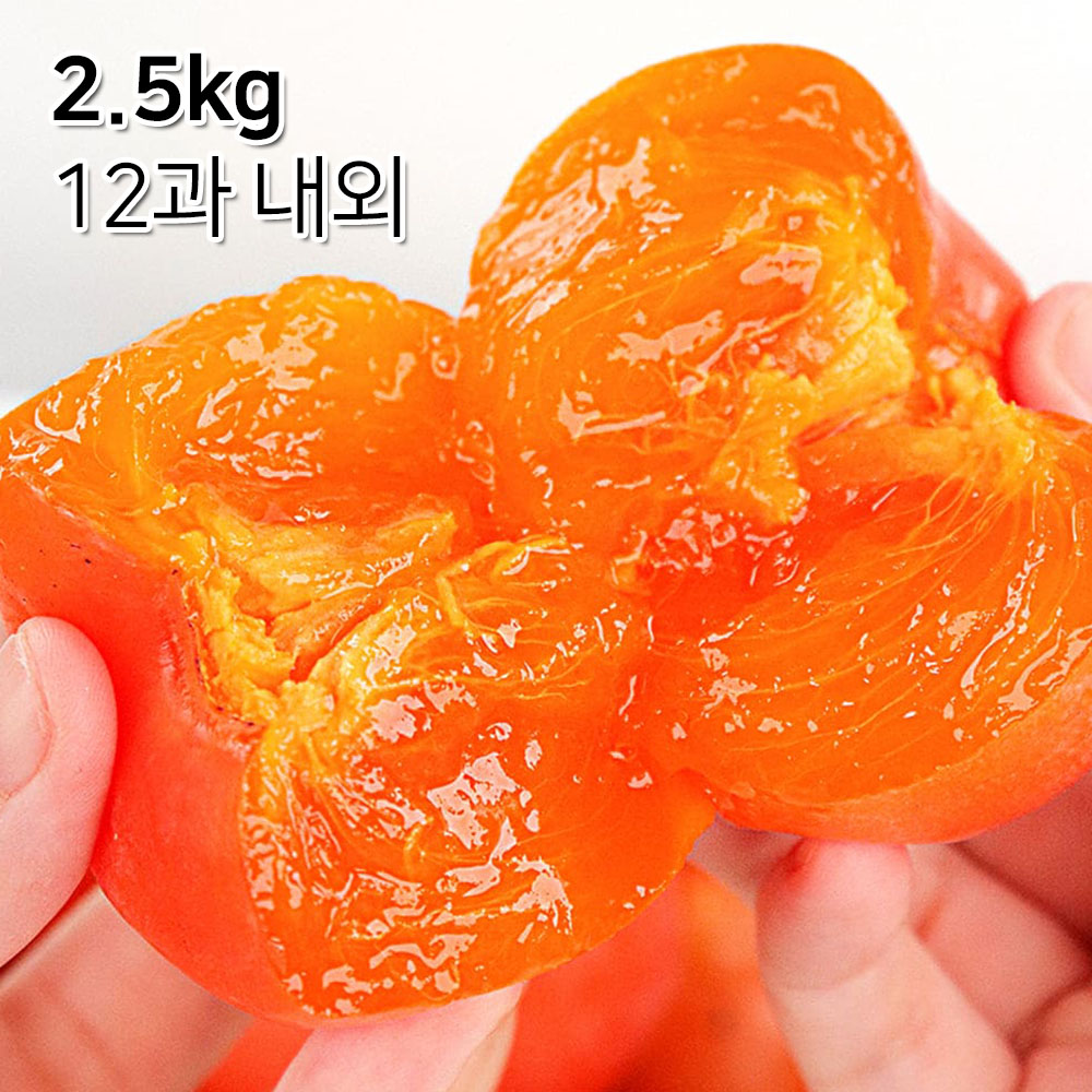 1699497634 thumbnail