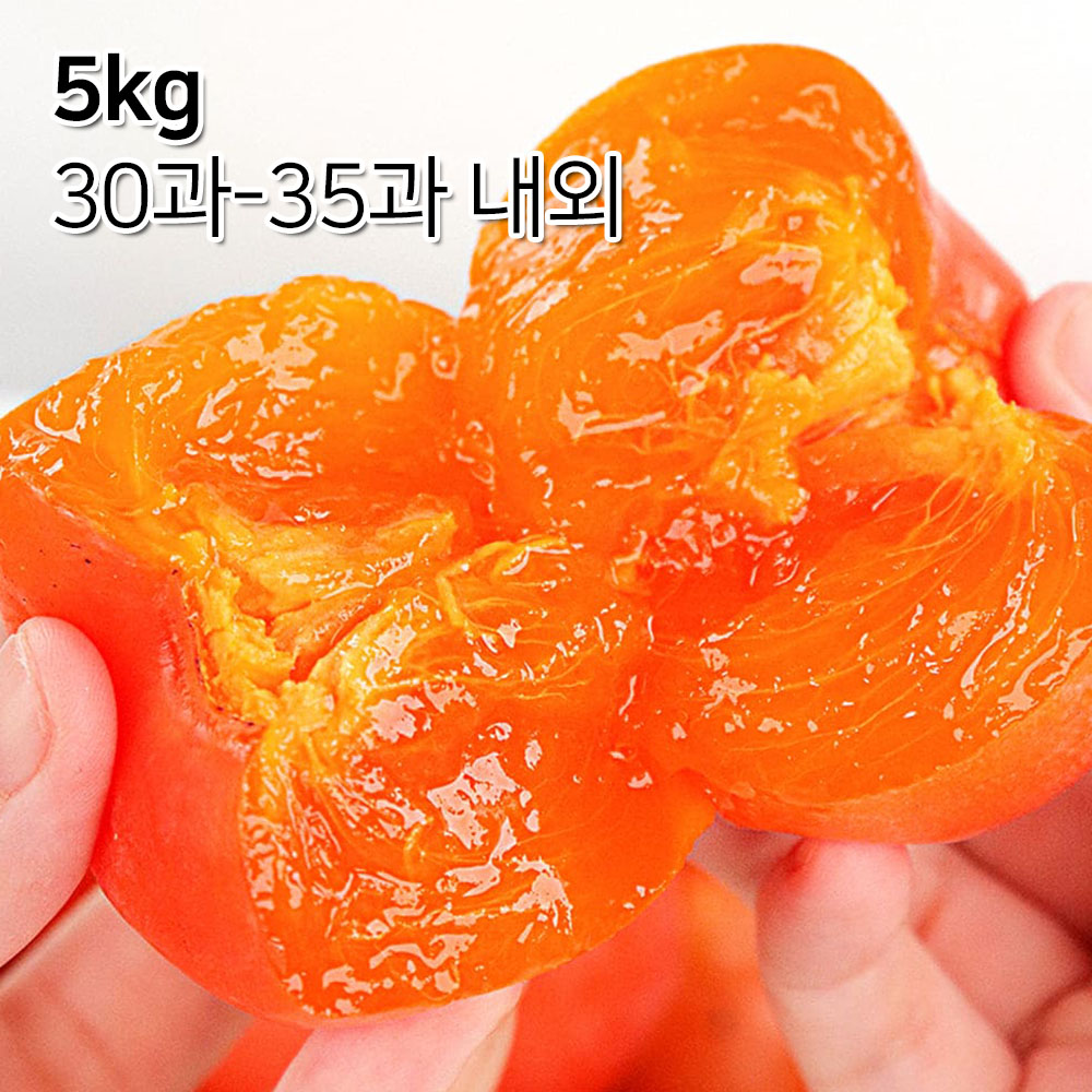 1699497636 thumbnail