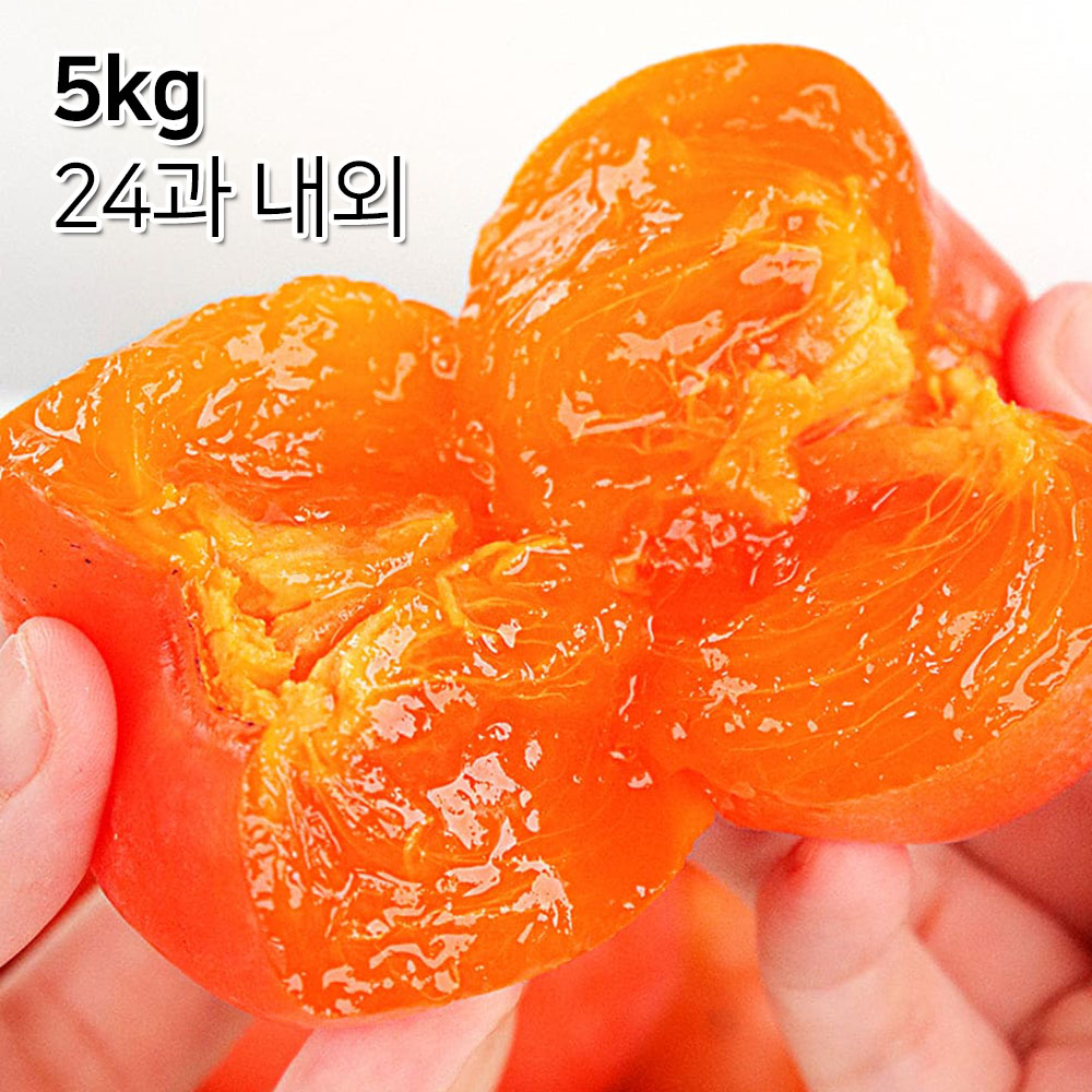 1699497638 thumbnail