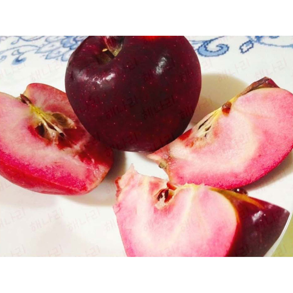 1699587817 thumbnail