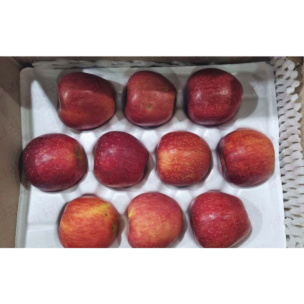 1699587818 thumbnail