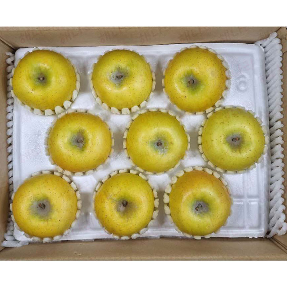 1699587819 thumbnail