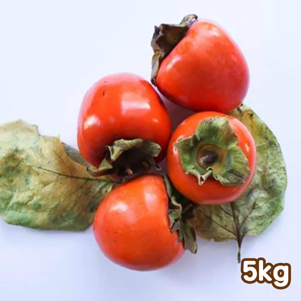 1699599142 thumbnail