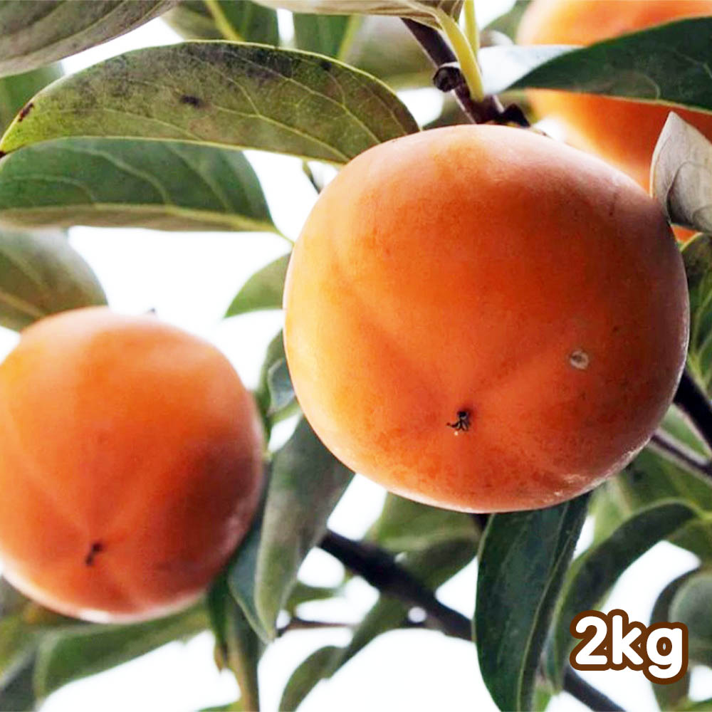 1699599143 thumbnail