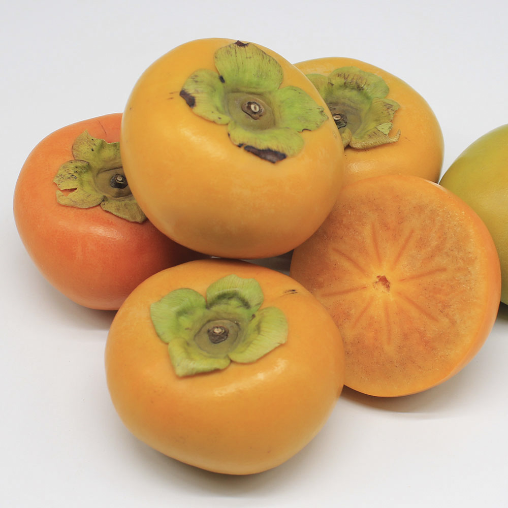 1699606589 thumbnail