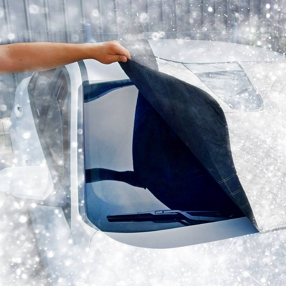 1699941447 thumbnail