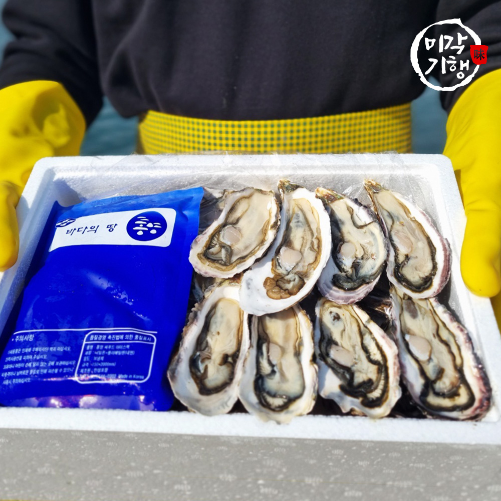 1699941460 thumbnail