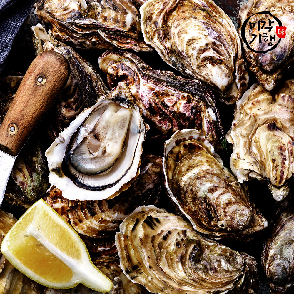 1699941462 thumbnail