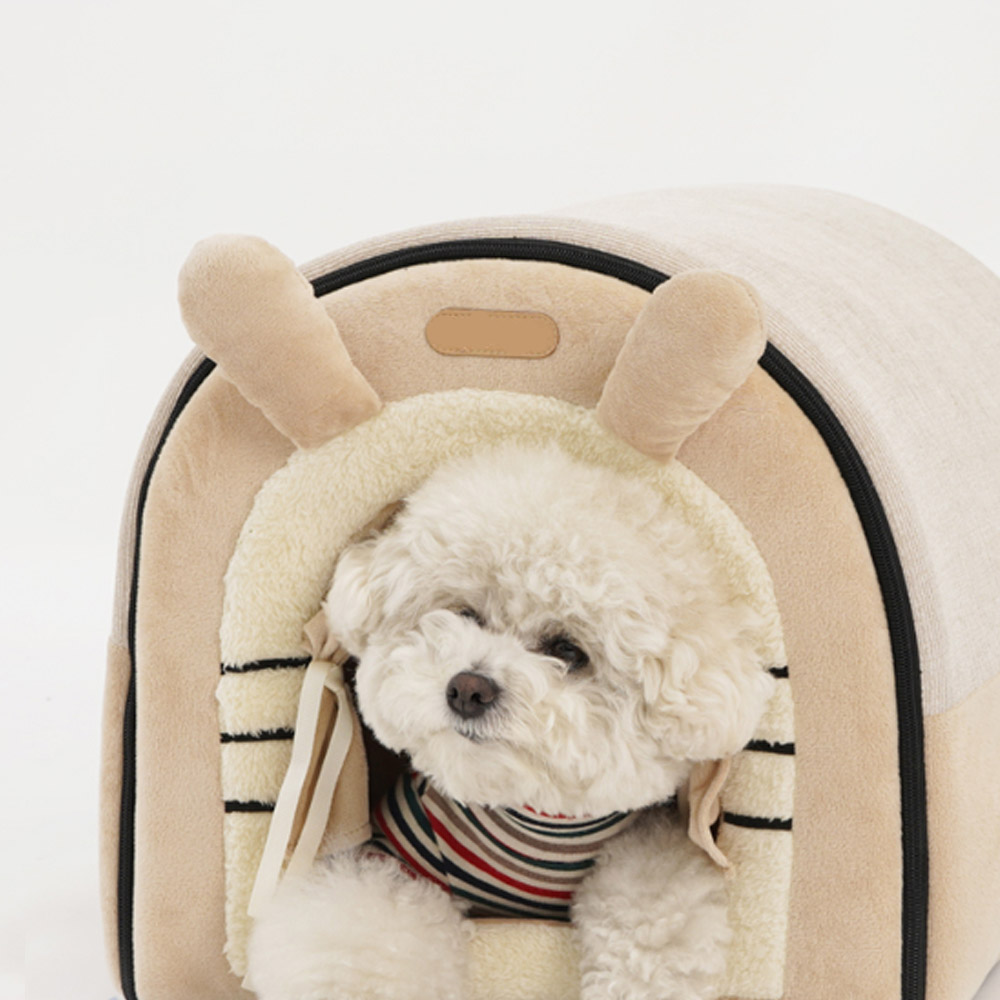 1699948049 thumbnail