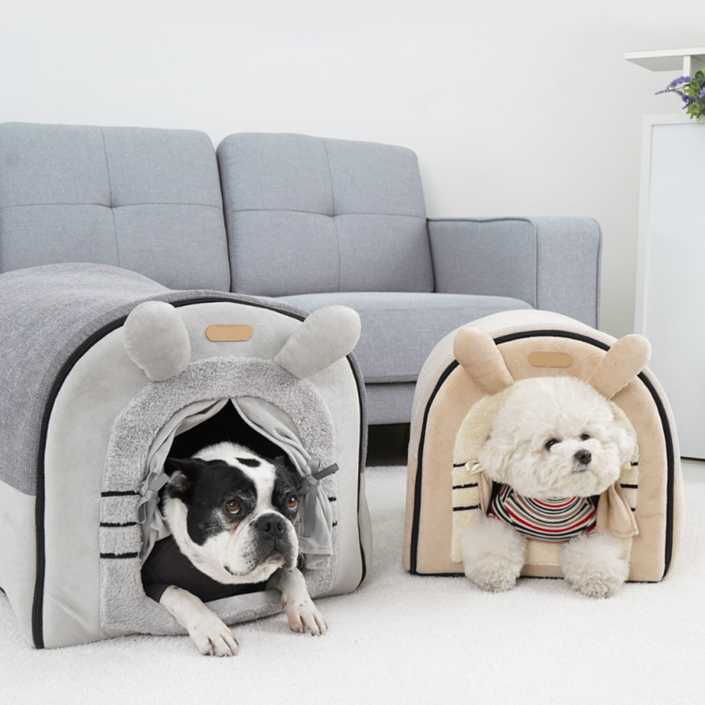 1699948050 thumbnail