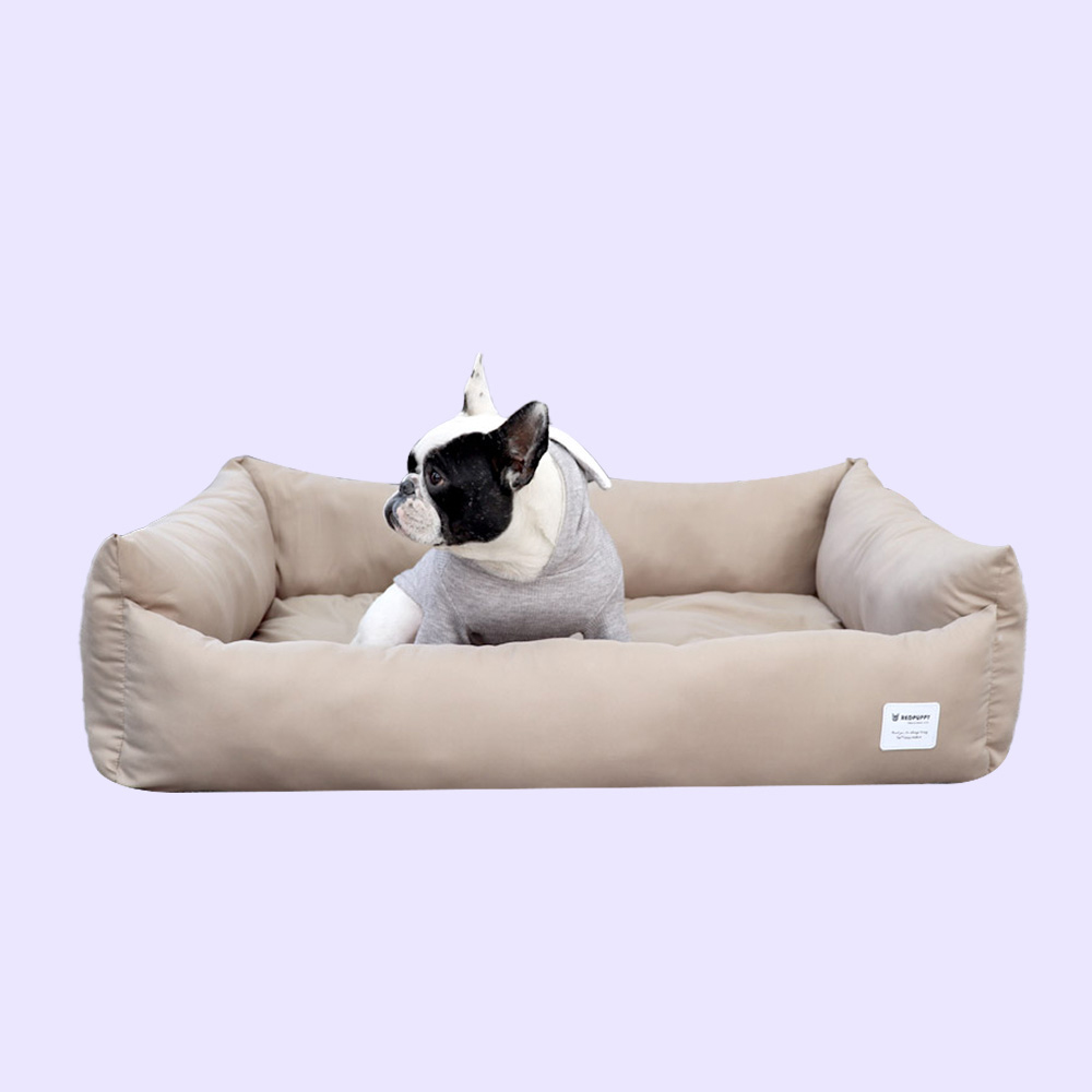 1699948051 thumbnail