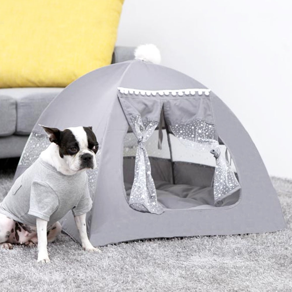 1699948053 thumbnail