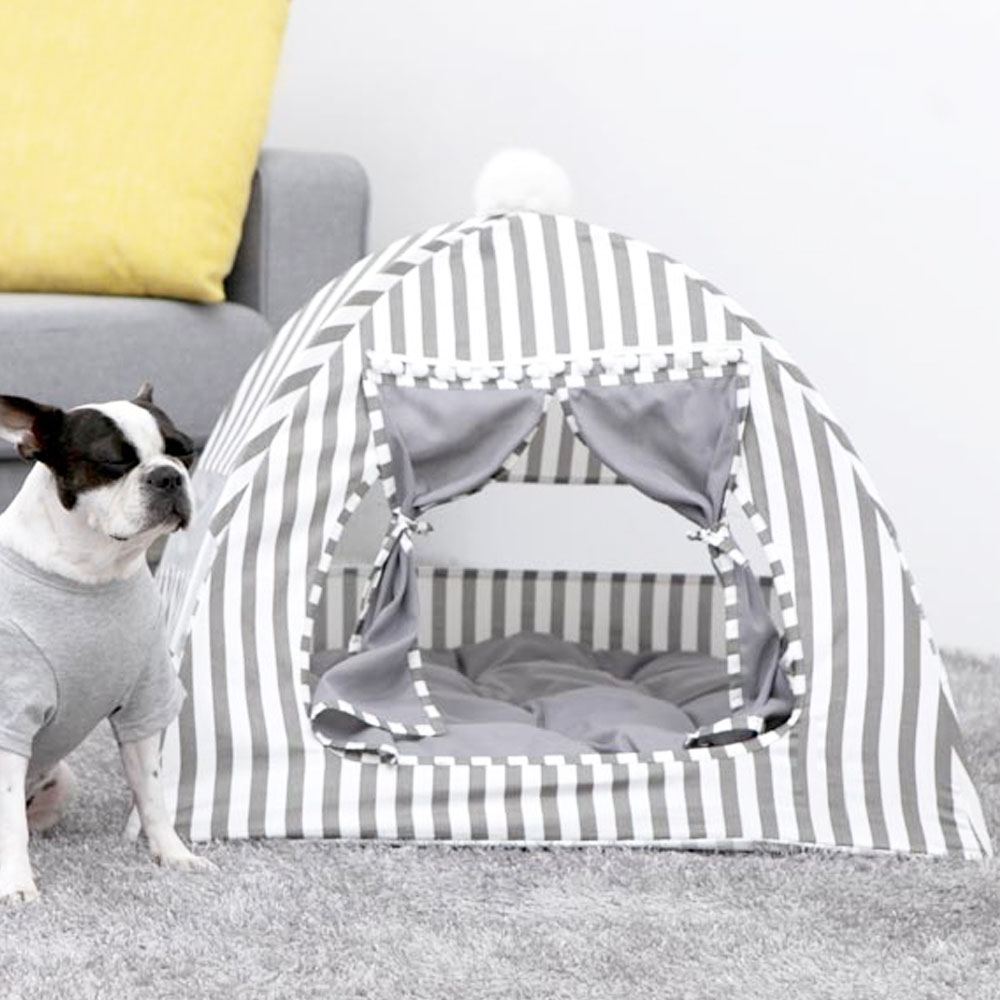 1699948055 thumbnail