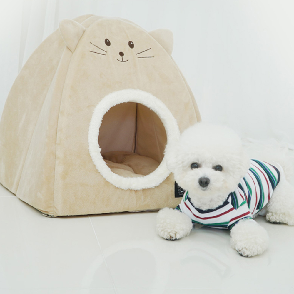 1699948057 thumbnail