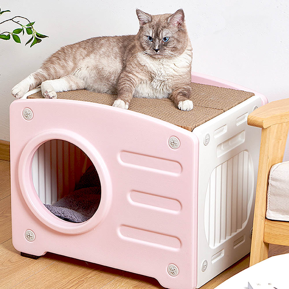 1699948060 thumbnail