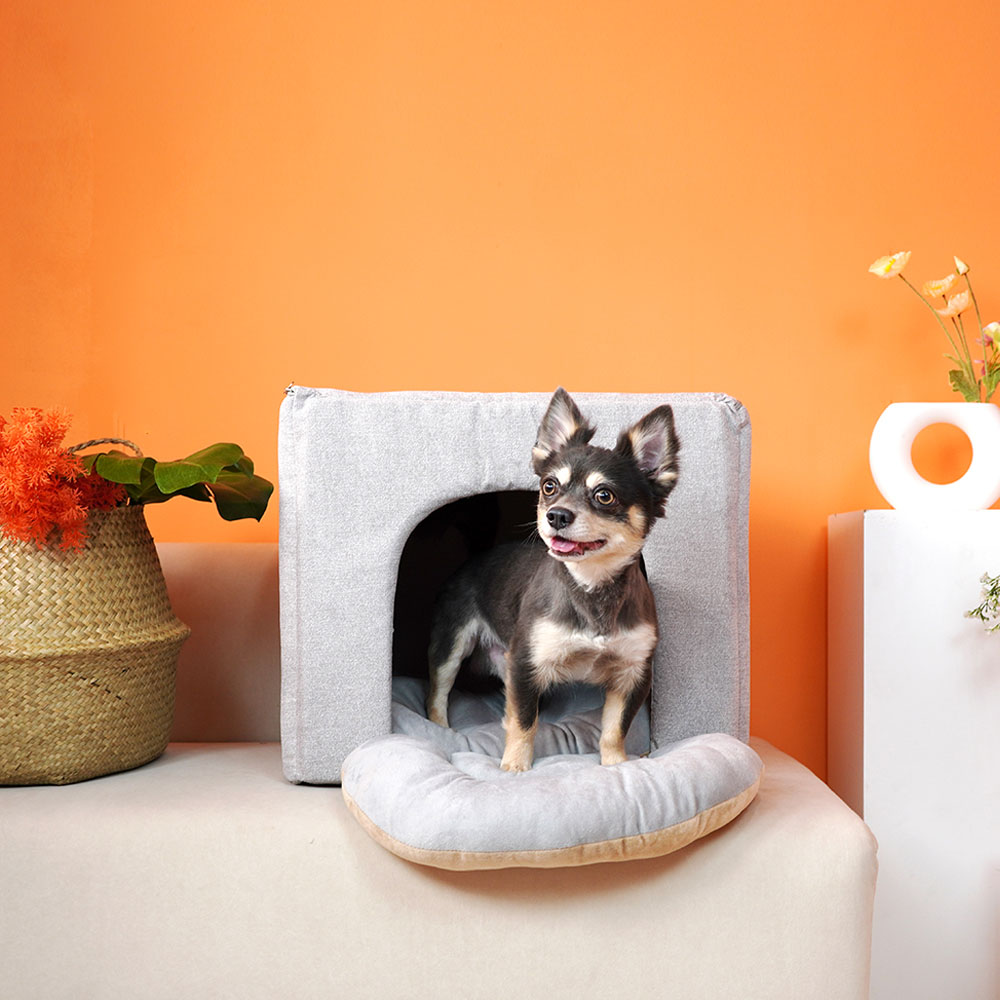 1699948061 thumbnail