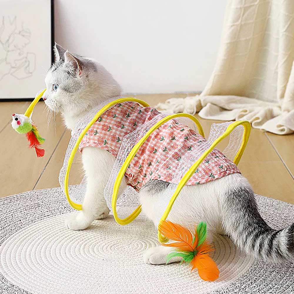 1699948062 thumbnail